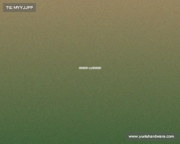 电子竞技飞车 qq飞车电子竞技